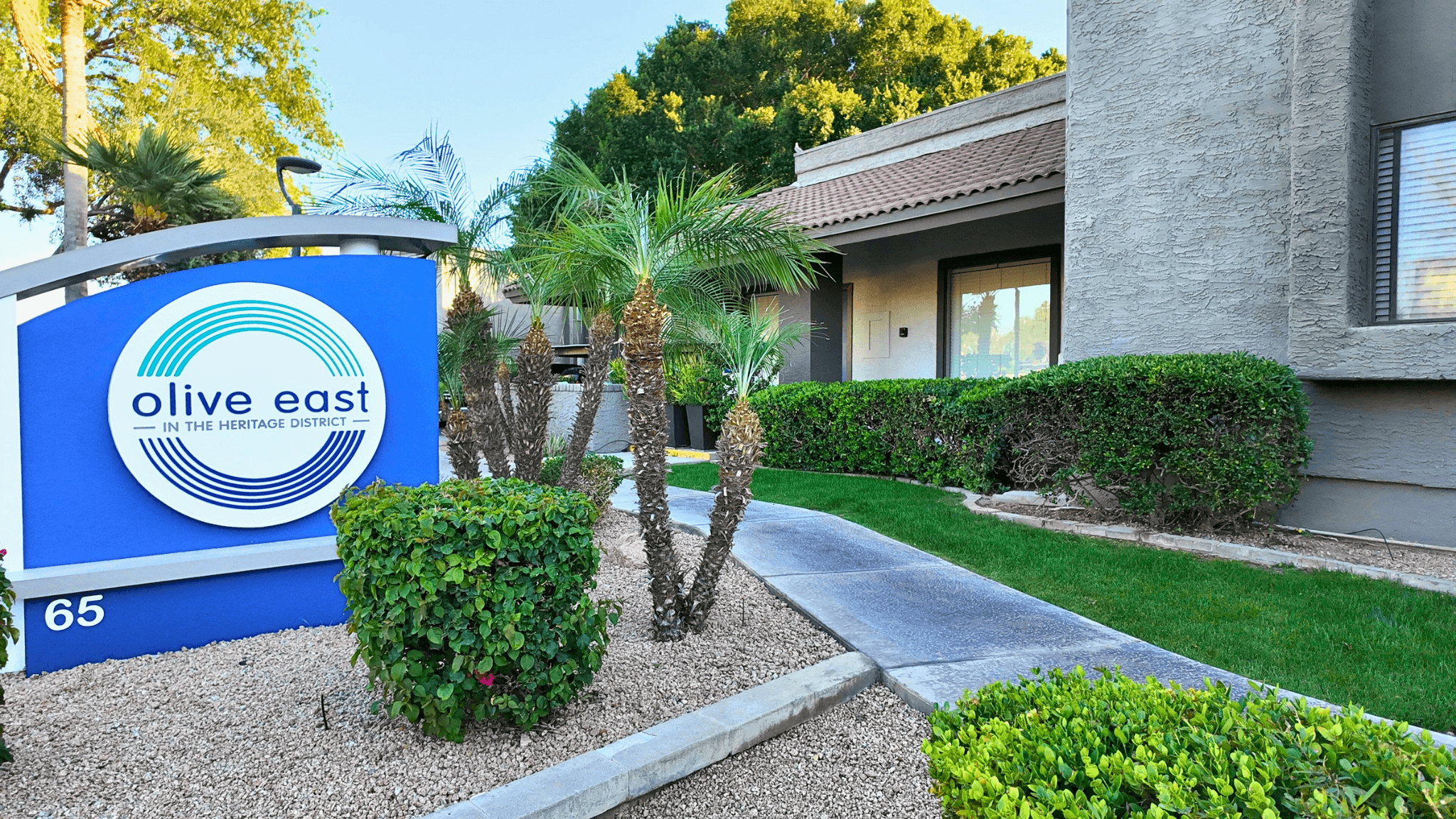 Olive East photo 5